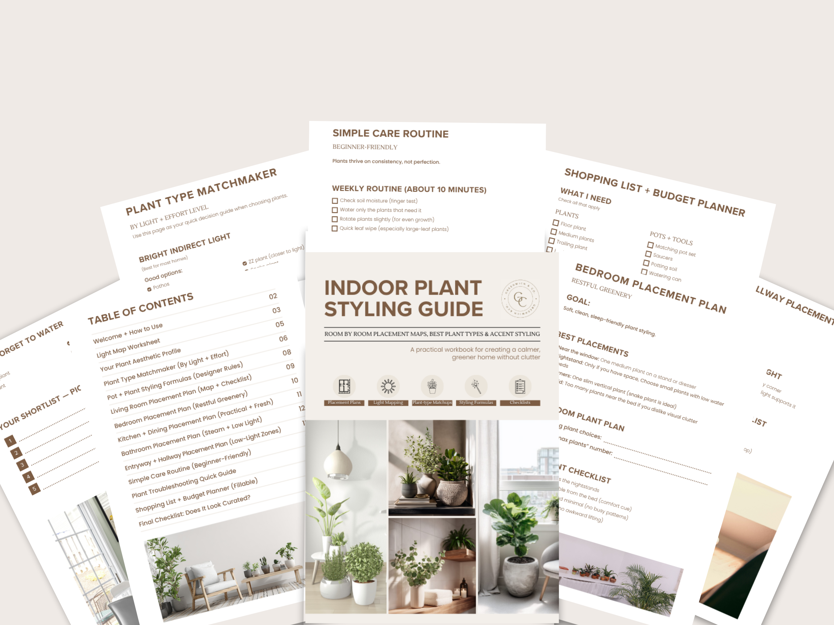 Indoor Plant Styling Guide: Room by Room Placement Maps, Best Plant Types & Accent Styling