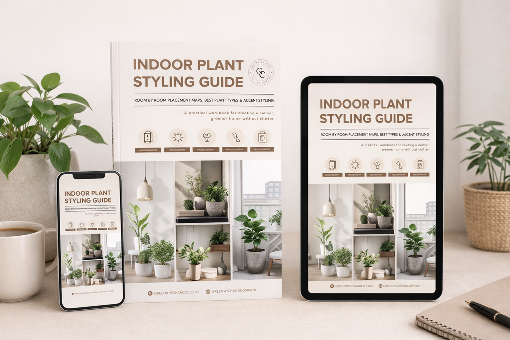 Indoor Plant Styling Guide: Room by Room Placement Maps, Best Plant Types & Accent Styling