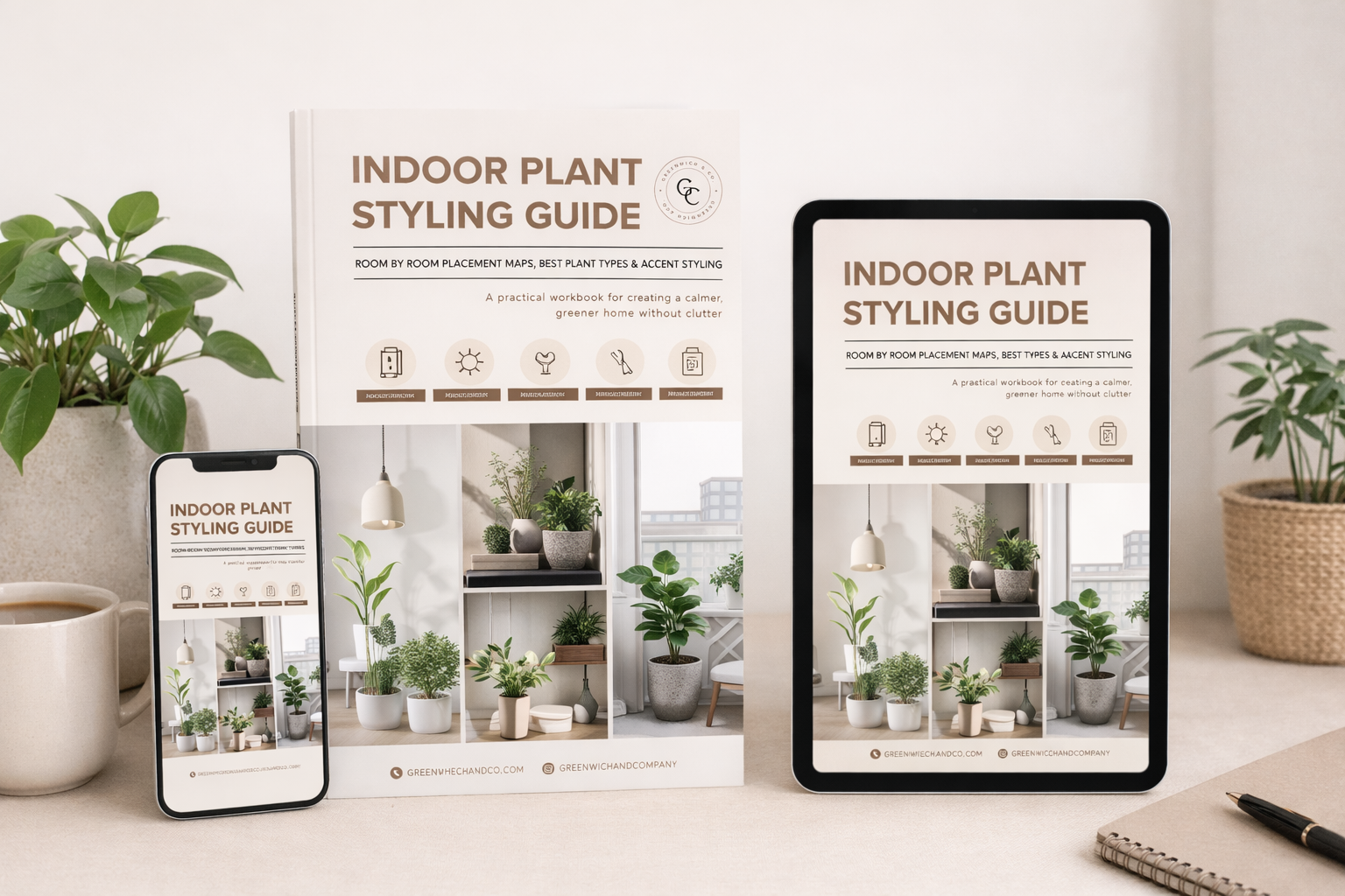 Indoor Plant Styling Guide: Room by Room Placement Maps, Best Plant Types & Accent Styling