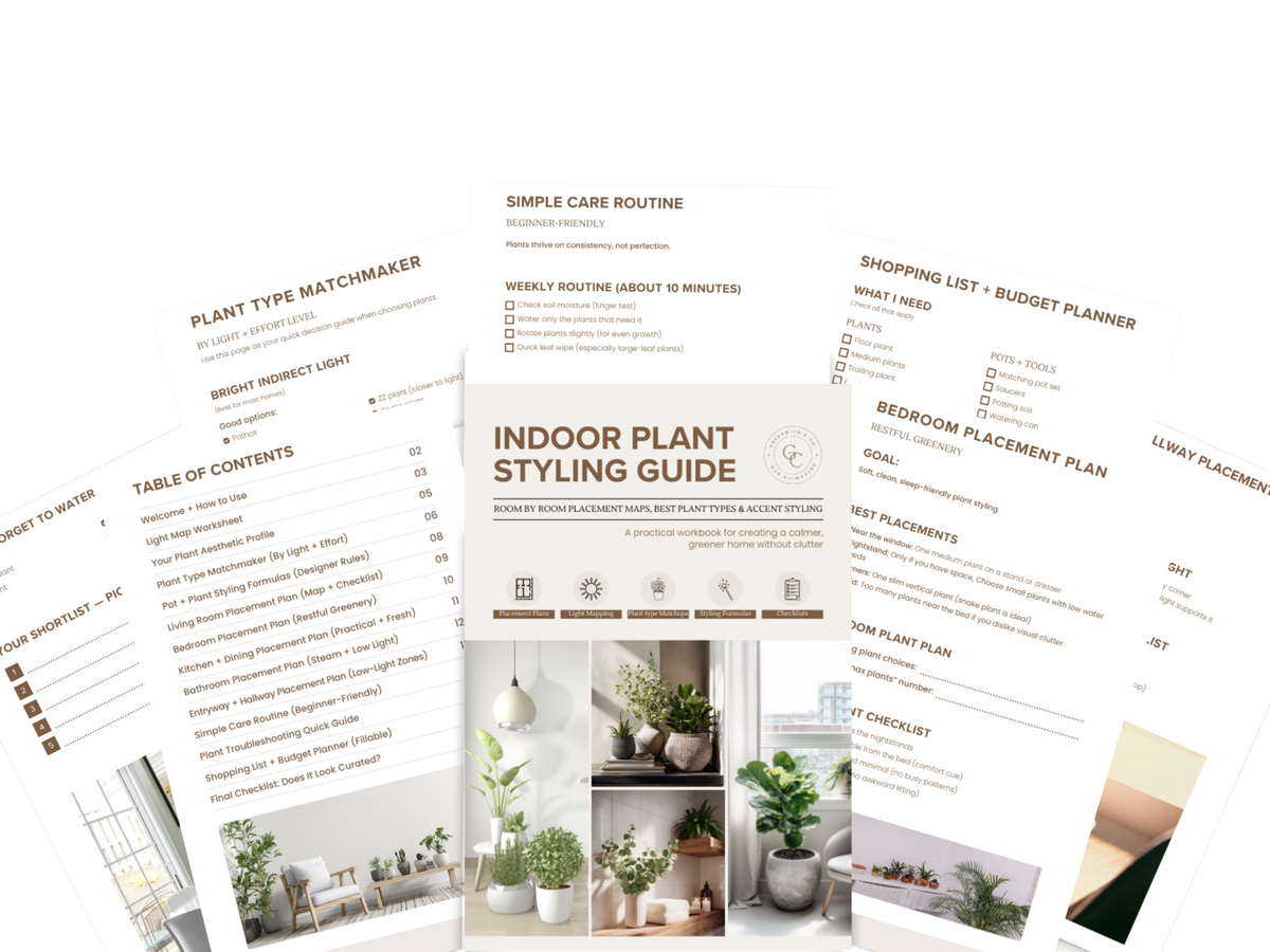 Indoor Plant Styling Guide: Room by Room Placement Maps, Best Plant Types & Accent Styling